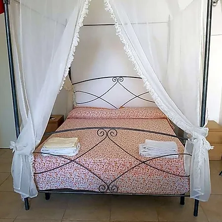 Cali Nitta Storic 3*